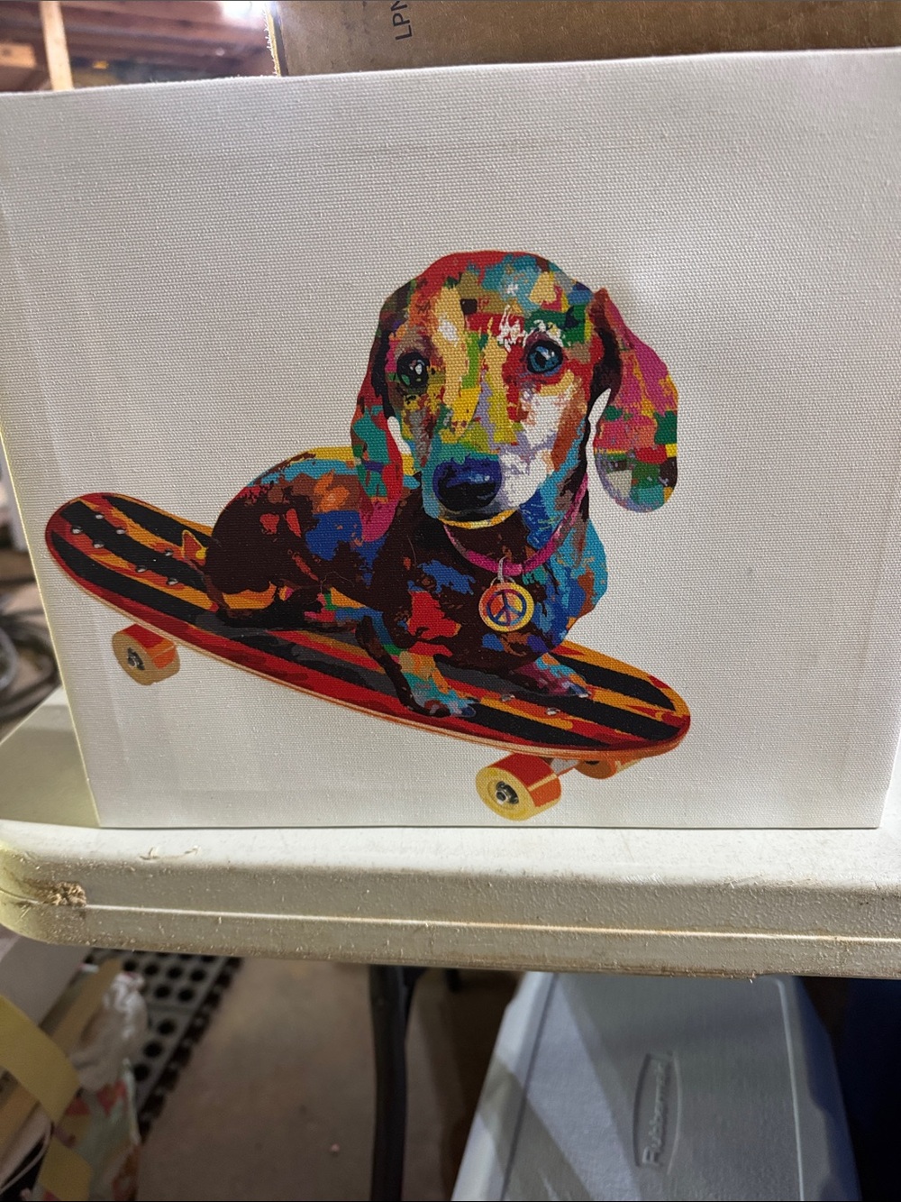 Colorful Dachshund Skateboard Pet Wall Art - Multicolor
